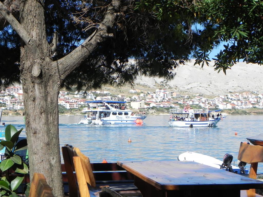 Apartments Riva Pag Town Rum bild